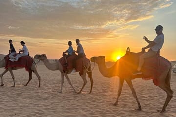 Evening Desert Safari with Camel Ride and Dinner in Abu Dhabi
