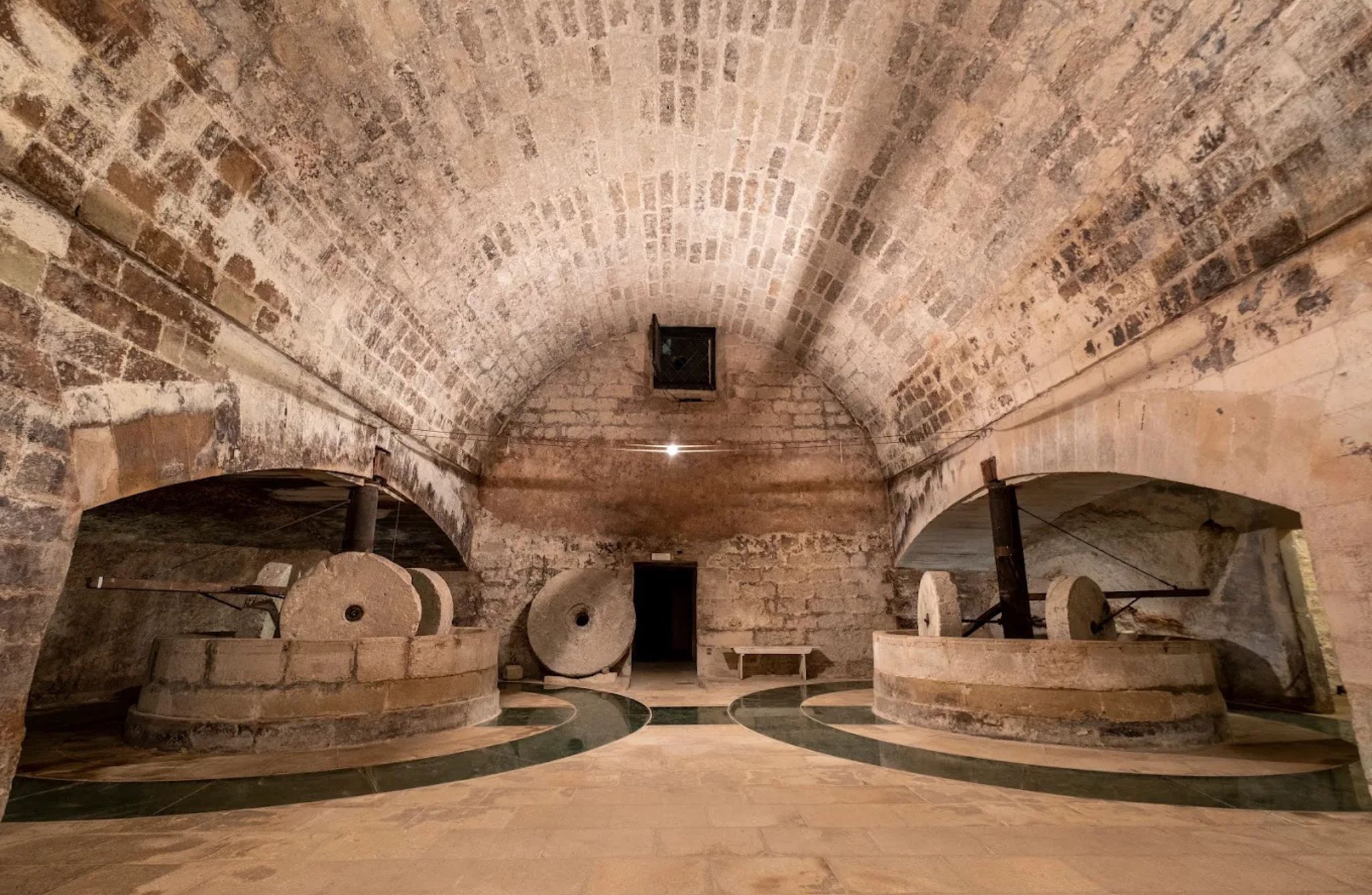 Organic Wine and Olive Oil Tasting Experience near Lecce