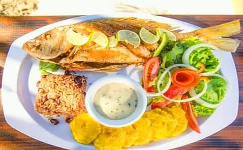 Cultural Tour and Island Lunch in Roatan's East End