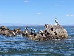 Tour al Golfo de Fonseca