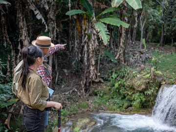 Full day Elephant Sanctuary Tour in Khaolak