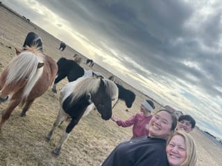 Private South Coast Adventure and Magical Viking Stories & Dinner, photo 18