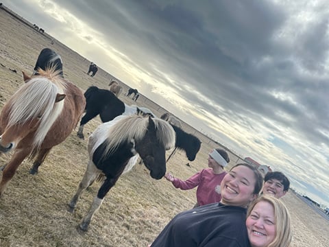 Private South Coast Tour and Viking Story Night with Icelandic Tasting, photo 18