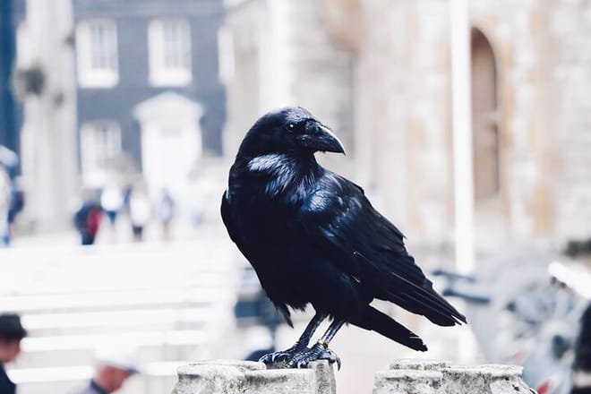 Private Ultimate Royal London: Tower of London & City of Westminster Tour