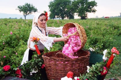 Private day tour to Rose valley – Old rose oil distillery, rose fields and Kazanlak Rose museum