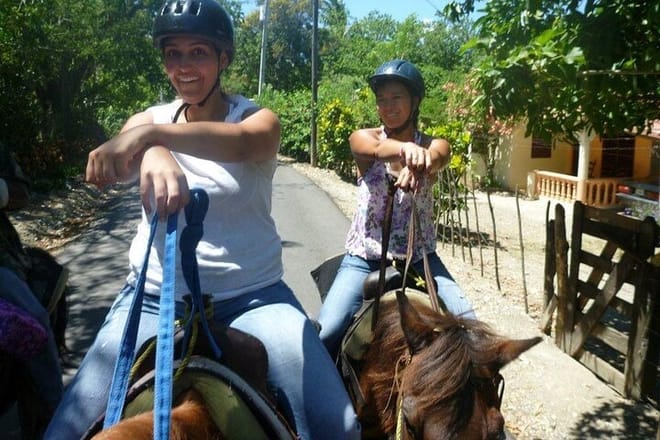 Horseback riding tour buy the beach or countryside port silver 10