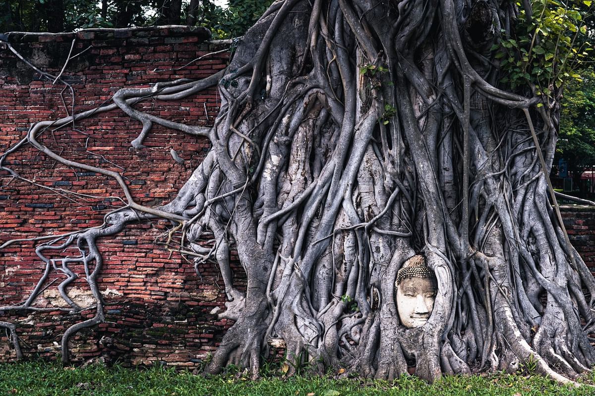 Ayutthaya Temple Tour & Sunset Boat Ride at UNESCO Heritage Site