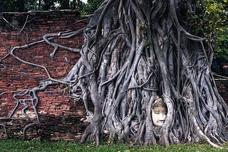 Ayutthaya Temple Tour & Sunset Boat Ride at UNESCO Heritage Site