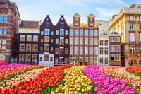 TOP Amsterdam: Private Guided Tour with your mobile 6