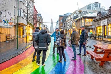 Reykjavik City Walk and Whale Watching Adventure