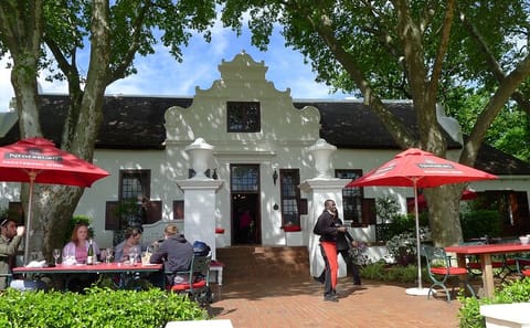 Private Wine Tasting Tour in Franschhoek and Paarl from Cape Town
