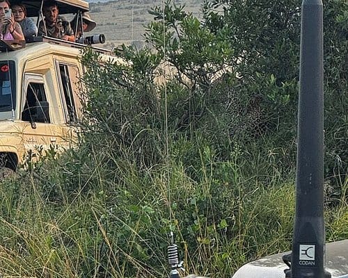 4 Days Masai Mara and Lake Nakuru Group Joining Safari