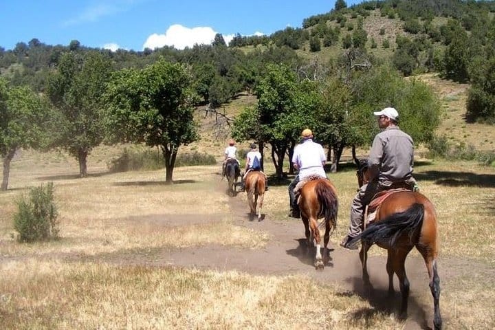 Horseback Riding