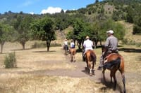 Horseback Riding