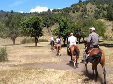 Horseback Riding