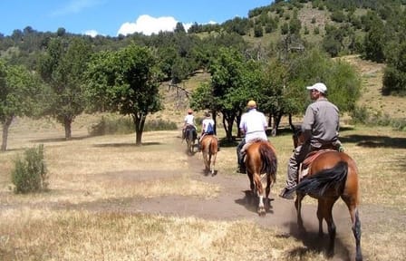 Horseback Riding Tour: Lanin National Park and Mapuche Culture