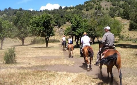 Horseback Riding in Lanin National Park, San Martín de los Andes