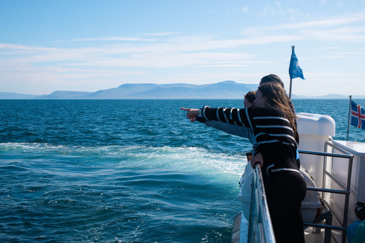 Traveler watching whales from a boat near Reykjavík Iceland