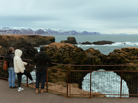 Snaefellsnes Peninsula tour in Spanish: Small group from Reykjavik, photo 19