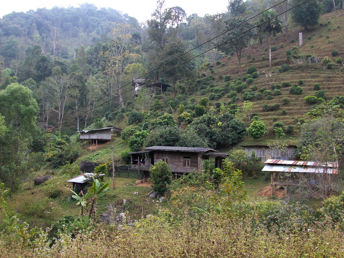 Chiang mai Suthep National Park Leisure Hiking & Mountain Biking