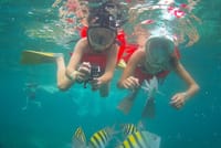 Montego Bay Private Afternoon Catamaran Open Bar and Snorkeling 3
