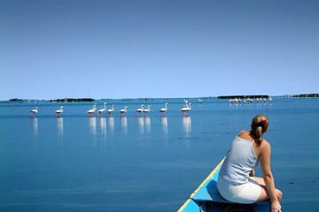 Full Day Trip to Konark Temple and Chilka Lake from Bhubaneswar