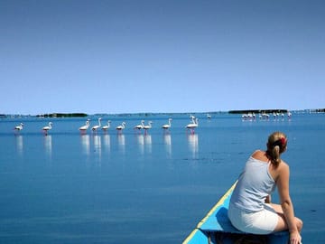 Full Day Tour of Konark Temple and Chilika Lake from Bhubaneswar