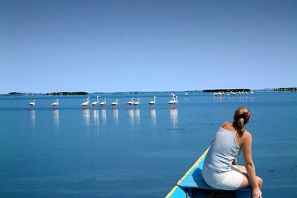 Full Day Trip to Konark Temple and Chilka Lake from Bhubaneswar