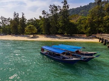 Private Guided Tour and Eagle Watching in Southern Island Geopark