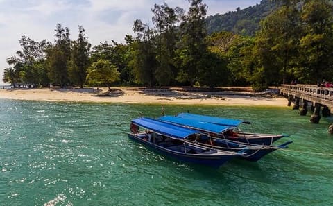 Private Guided Tour and Eagle Watching in Southern Island Geopark