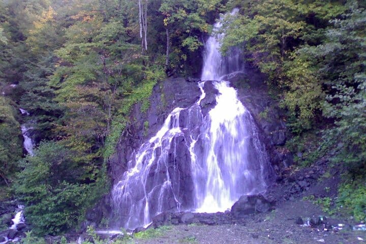 4 Full days in Georgia with private tour, free aiport