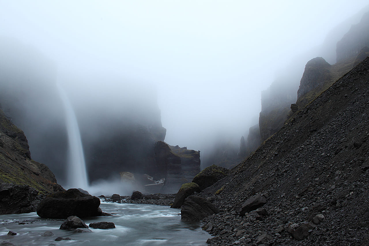 © photo by Adam Kaczuba