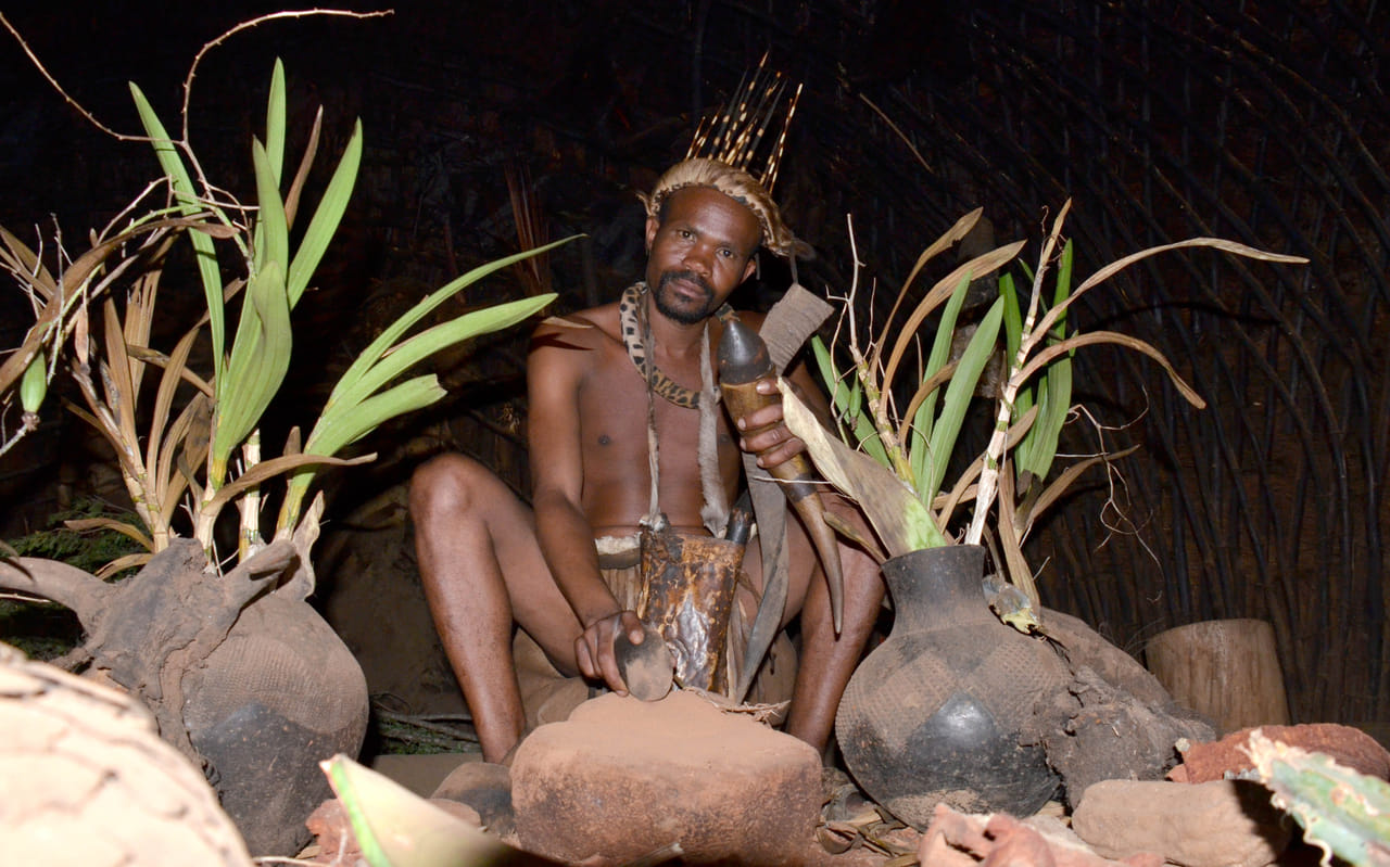 Shakaland Zulu Village & Dlinza Forrest 9