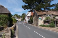 Isle of Wight Full-Day Private Tour from London 8