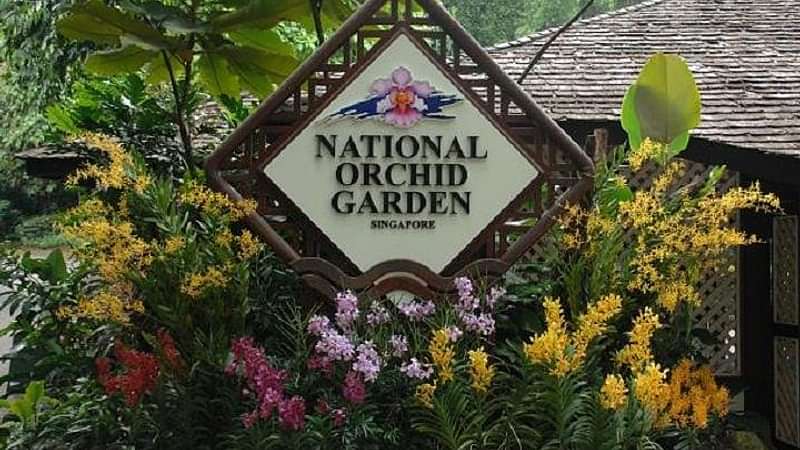 private half day singapore city tour with botanical orchid garden