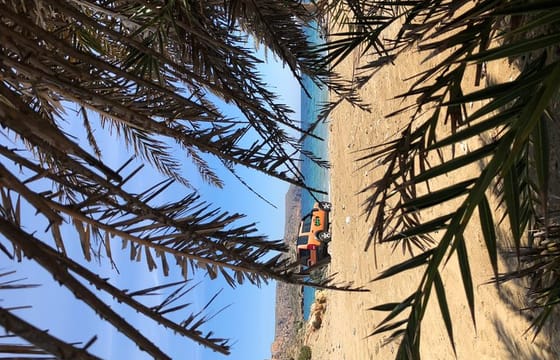 VIP Luxury Private Tour- Half Day – 4×4 Excursion with Land Rover