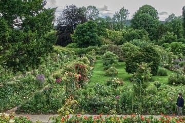 Giverny Day Trip: Explore Monet's House and Gardens