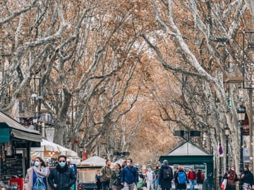 Private Guided Walking Tour of Barcelona's Highlights