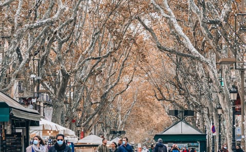 Private Guided Walking Tour of Barcelona's Highlights