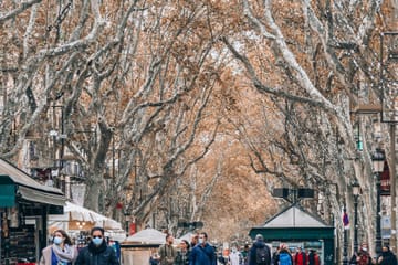 Private Guided Walking Tour of Barcelona's Highlights