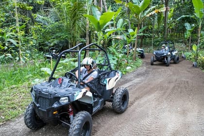 Jungle Buggy Adventure and Ubud Tour