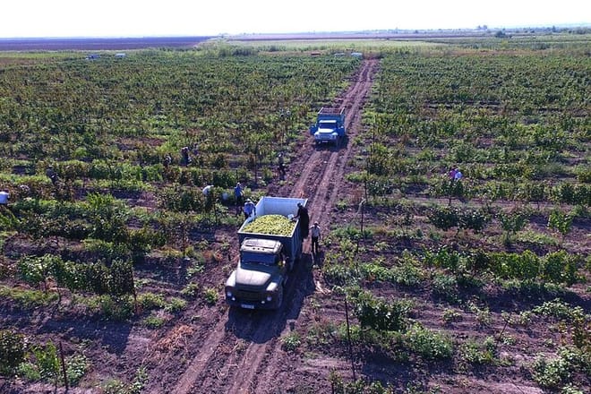 Shared Transfer from Signagi to Tbilisi photo 6