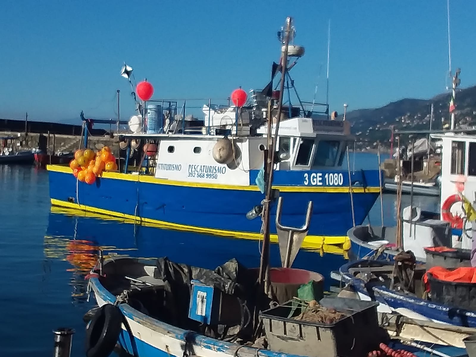 Fishing Boat Tour & Tasting