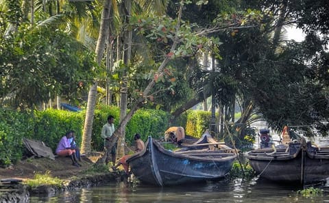 Cultural and Scenic Tour of Alappuzha and Fort Kochi