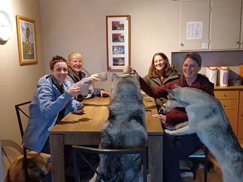 Husky Petting in Akureyri - Private experience, photo 2