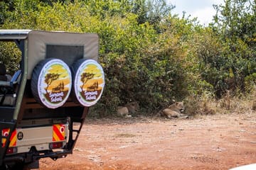 Nairobi National Park Game Drive in Open Safari Jeep