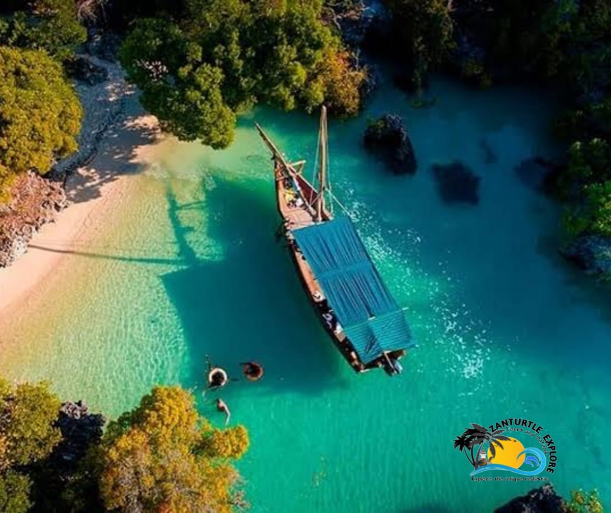 Zanzibar Prison Island Giant Big Tortoise Tour