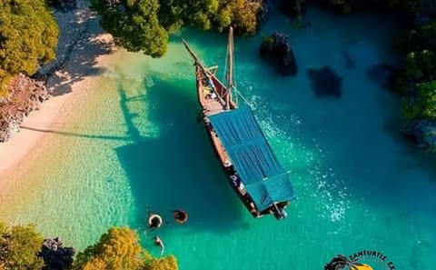 Zanzibar Safari Blue Snorkeling and Lunch Experience