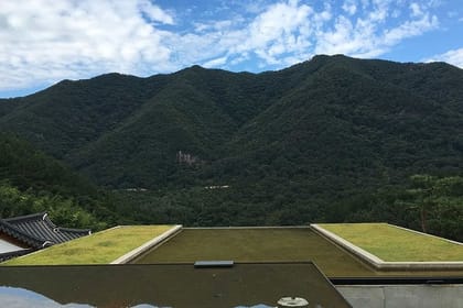 BTS fliming location in Jeonju Tour with House of Awon, Jeonju Zoo