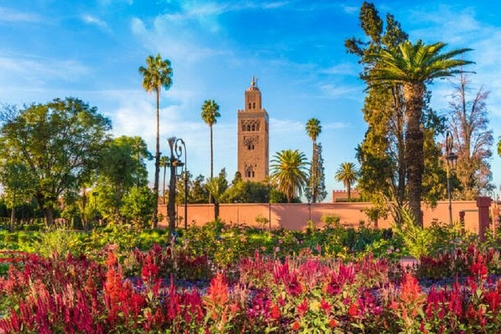Explore Marrakech Tour, Full-Day Adventure with Transfer - Agadir